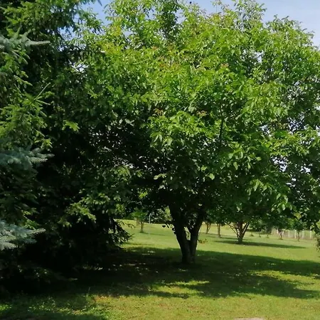 Gesztenye Vendeghaz *