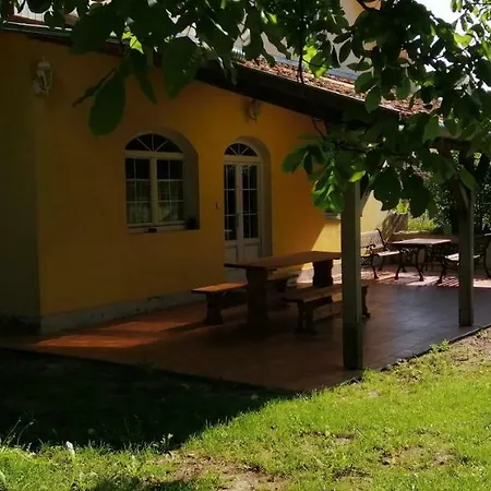 Gesztenye *